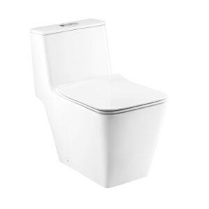 Cotto Simply Modish One piece toilet (Hyg